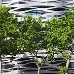 Avenue * Barcelona